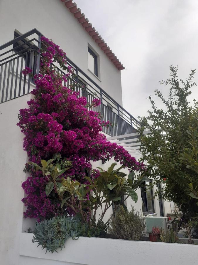 Zenergy - Guest House Odeceixe Εξωτερικό φωτογραφία