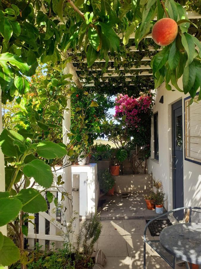 Zenergy - Guest House Odeceixe Εξωτερικό φωτογραφία